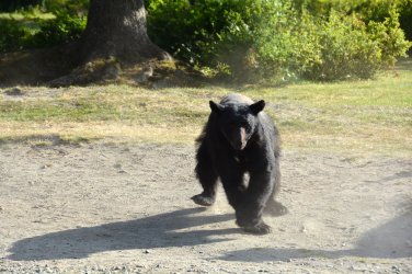 DSC_0293 F.jpg