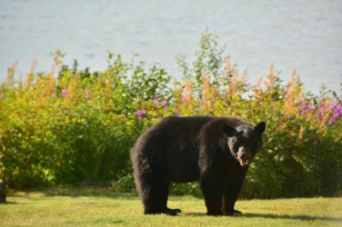 DSC_0298.JPG