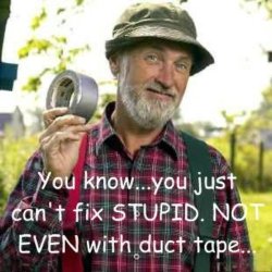 Can't Fix Stupid.jpg