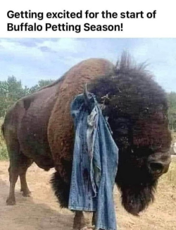 BUF.png