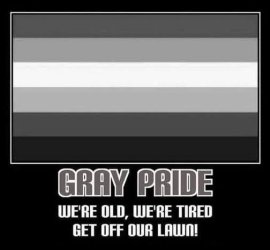 Gray pride.jpg