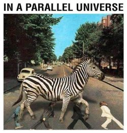 Parallel universe.jpg