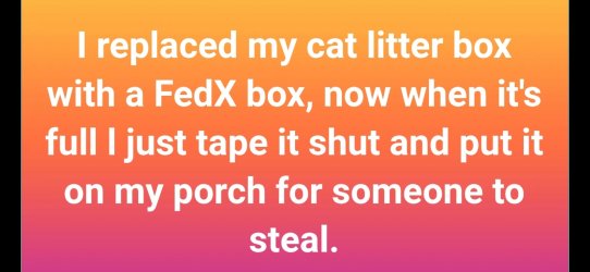 Image 3.jpeg