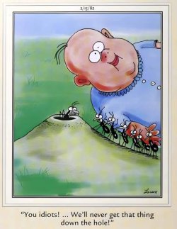 ant hole.jpg
