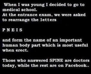 spine.jpg