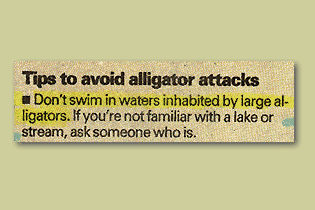 alligators.gif