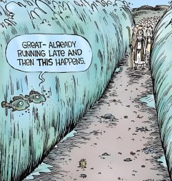 Moses and the fish.jpg