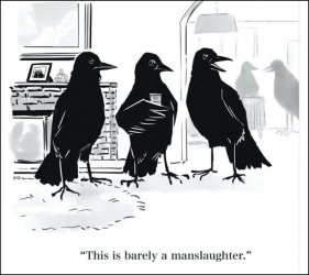 Manslaughter of crows.jpg