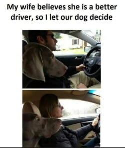 1749858456931.png