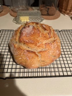 IMG_0010.jpeg