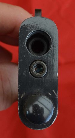 DSC_0040 1.JPG