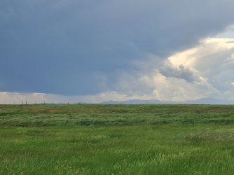 20250615_150805.jpg