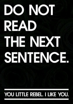 1750086870069.png