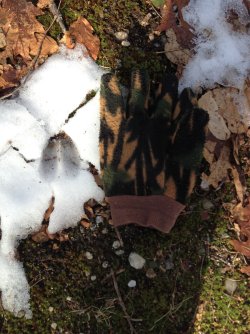 IMG_2151.jpeg