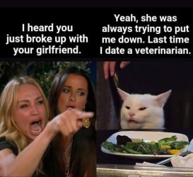 smudge vet.jpg