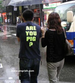 are-you-pig.jpg