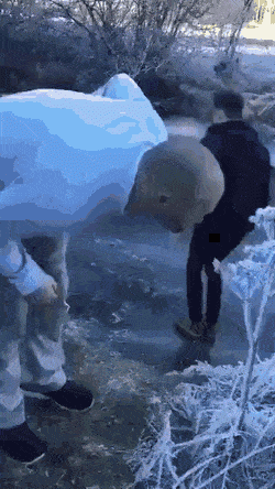 1000005504.gif