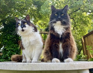 Senior magnificats.jpg