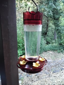 20250617_190837.jpg