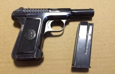Savage 1907.jpg
