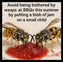 Wasp remedy.jpg