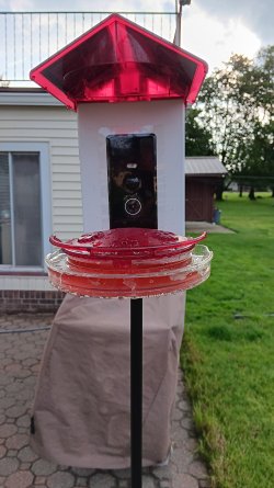 20250618_190948[1].jpg