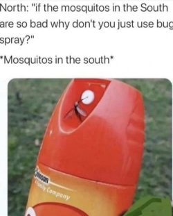 1728936643933.png