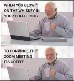 1750333726031.png