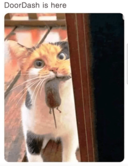 1729708916956.png