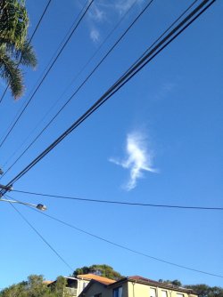 IMG_0320.jpeg