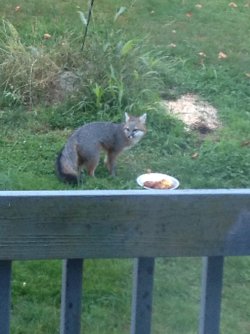 IMG_1925.jpeg