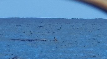 IMG_3369.jpeg