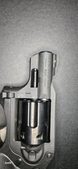 20250427_183710.jpg