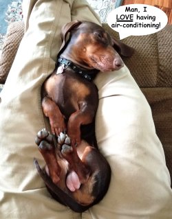 20201203_153756 web.jpg