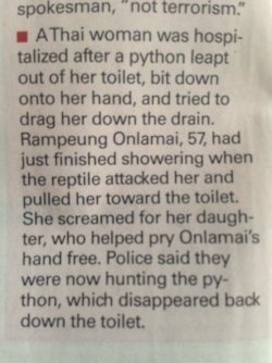 aw-hell-nope-16.jpg