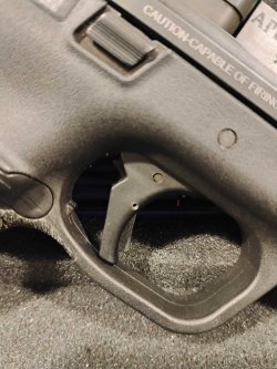 MP 5.jpg