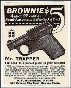 300px-Mossbergbrownie.jpeg