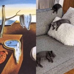 Dali cats.JPG