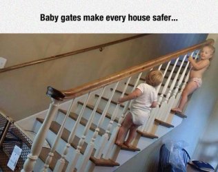 Baby gates.jpg
