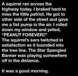 1750946199857.png