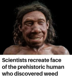 1750946229599.png