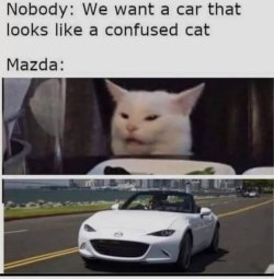 smudge confused.jpg