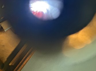IMG_3984.jpeg IMG_3984.jpeg