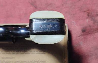 1000012953.jpg