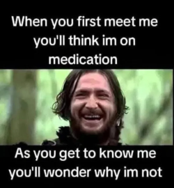 1751115800281.png