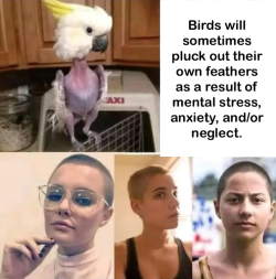 1751116205775.png
