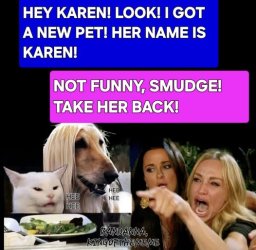 smudge pet.jpg
