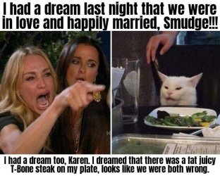 smudge T bone.jpg