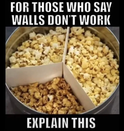 1751210473823.png