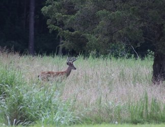 IMG_1597.JPG